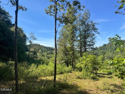 100 Acres By Deed In Hancock County, Tennessee - image 9