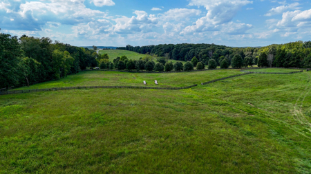 Historic 222-Acre Estate: The Legacy of Buckshoal Farm, VA - image 42