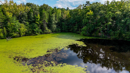 Historic 222-Acre Estate: The Legacy of Buckshoal Farm, VA - image 32