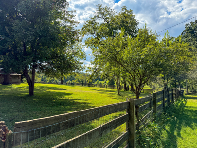 Historic 222-Acre Estate: The Legacy of Buckshoal Farm, VA - image 30