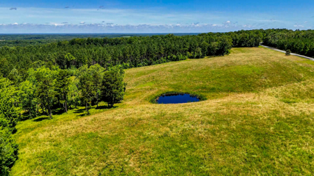 Historic 222-Acre Estate: The Legacy of Buckshoal Farm, VA - image 16