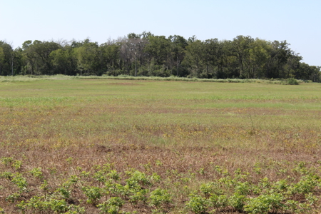 Land for Sale – Lot 49, Highland Branch Subdivision - image 2