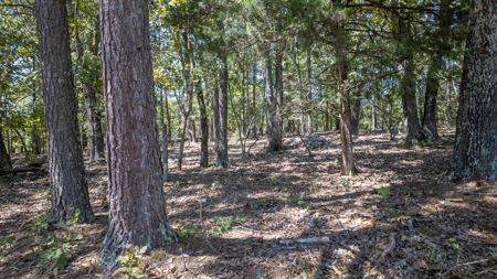 Luxury Hunting Retreat in the Missouri Ozarks | 2524.28 Acres - image 22