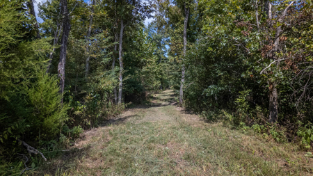 Luxury Hunting Retreat in the Missouri Ozarks | 2524.28 Acres - image 14