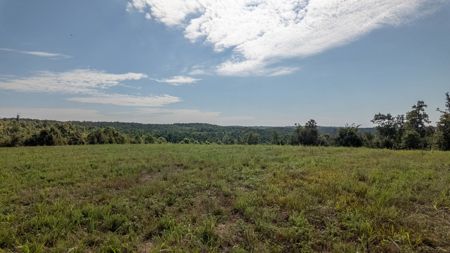 Luxury Hunting Retreat in the Missouri Ozarks | 2524.28 Acres - image 7