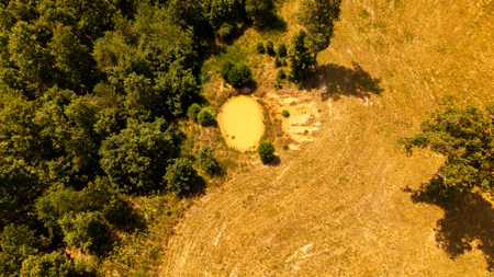 Luxury Hunting Retreat in the Missouri Ozarks | 2524.28 Acres - image 25