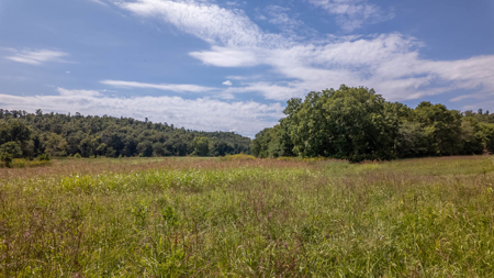 Luxury Hunting Retreat in the Missouri Ozarks | 2524.28 Acres - image 17