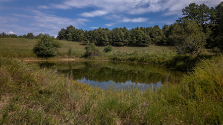 Luxury Hunting Retreat in the Missouri Ozarks | 2524.28 Acres - image 15