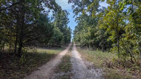 Luxury Hunting Retreat in the Missouri Ozarks | 2524.28 Acres - image 6