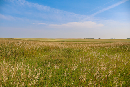 🌾🏡 Horse Property Just Outside Opheim, MT – 7 Acres 🐴✨ - image 36