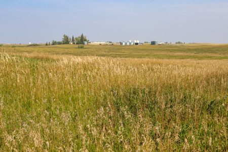 🌾🏡 Horse Property Just Outside Opheim, MT – 7 Acres 🐴✨ - image 31