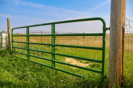 🌾🏡 Horse Property Just Outside Opheim, MT – 7 Acres 🐴✨ - image 37
