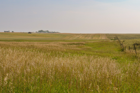 🌾🏡 Horse Property Just Outside Opheim, MT – 7 Acres 🐴✨ - image 30