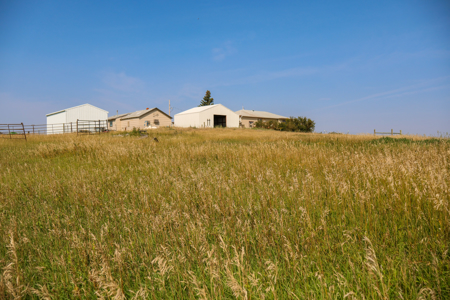 🌾🏡 Horse Property Just Outside Opheim, MT – 7 Acres 🐴✨ - image 25