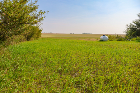 🌾🏡 Horse Property Just Outside Opheim, MT – 7 Acres 🐴✨ - image 32