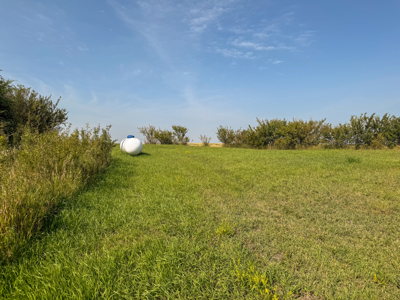 🌾🏡 Horse Property Just Outside Opheim, MT – 7 Acres 🐴✨ - image 33