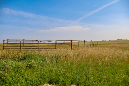 🌾🏡 Horse Property Just Outside Opheim, MT – 7 Acres 🐴✨ - image 14