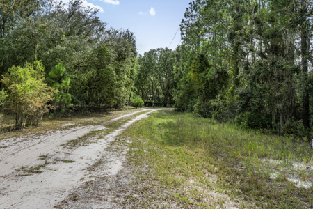 12.8 Acres of Vacant Land For Sale in Trenton, FL - image 17