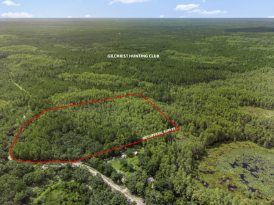 12.8 Acres of Vacant Land For Sale in Trenton, FL - image 12