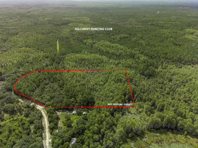 12.8 Acres of Vacant Land For Sale in Trenton, FL - image 9