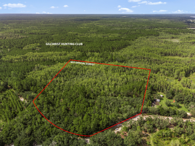 12.8 Acres of Vacant Land For Sale in Trenton, FL - image 14