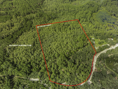 12.8 Acres of Vacant Land For Sale in Trenton, FL - image 2