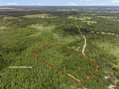 12.8 Acres of Vacant Land For Sale in Trenton, FL - image 7