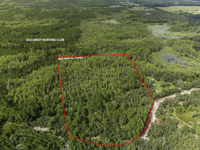 12.8 Acres of Vacant Land For Sale in Trenton, FL - image 5