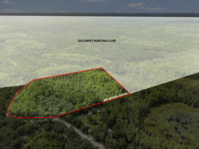 12.8 Acres of Vacant Land For Sale in Trenton, FL - image 10