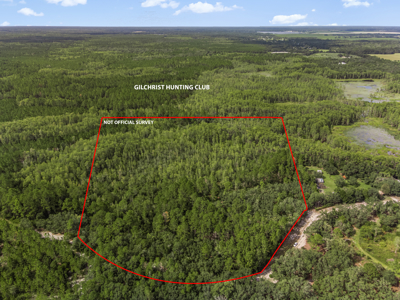 12.8 Acres of Vacant Land For Sale in Trenton, FL - image 15