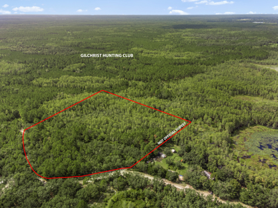 12.8 Acres of Vacant Land For Sale in Trenton, FL - image 13