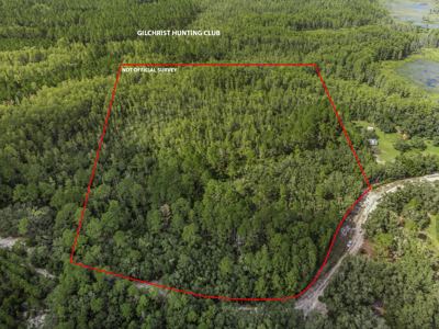 12.8 Acres of Vacant Land For Sale in Trenton, FL - image 4