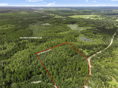 12.8 Acres of Vacant Land For Sale in Trenton, FL - image 6