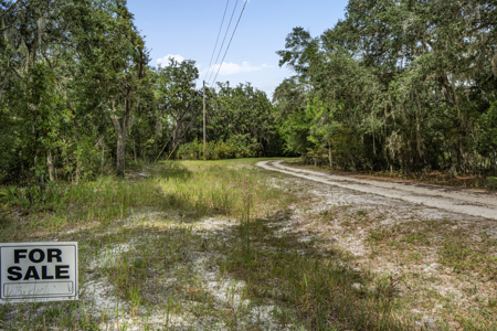 12.8 Acres of Vacant Land For Sale in Trenton, FL - image 18