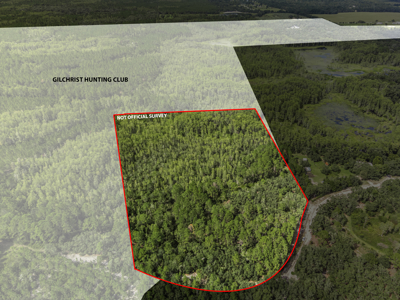 12.8 Acres of Vacant Land For Sale in Trenton, FL - image 1