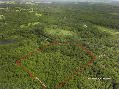 12.8 Acres of Vacant Land For Sale in Trenton, FL - image 8