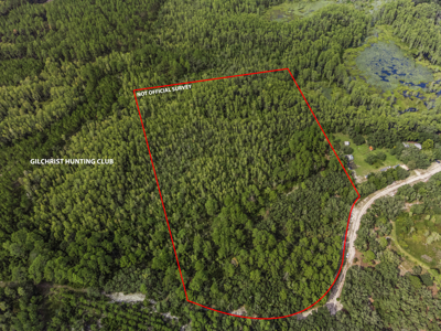 12.8 Acres of Vacant Land For Sale in Trenton, FL - image 16