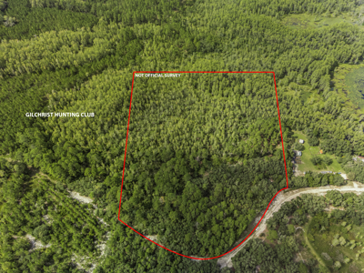 12.8 Acres of Vacant Land For Sale in Trenton, FL - image 3