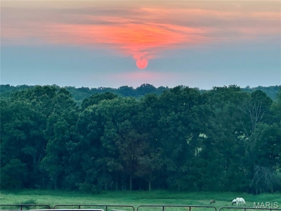 Home and Land with Rental Home for Sale in Dent County, MO - image 1