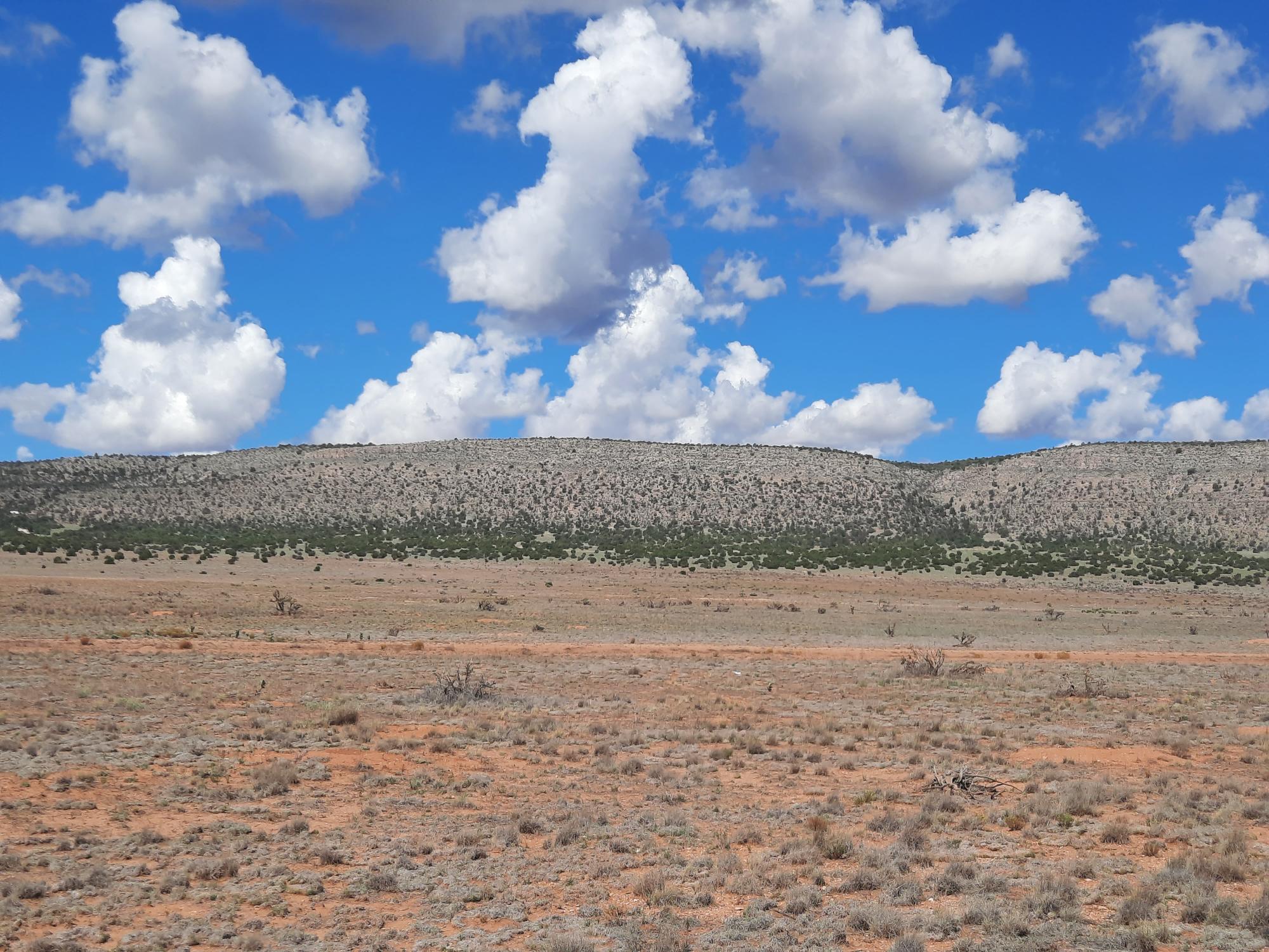 Northern AZ off grid rural property with convenient access - Off Grid Apartment In Arizona