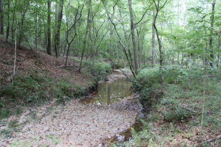 7.21 Wooded Acres with Creek For Sale Lincoln County Mississippi - image 17