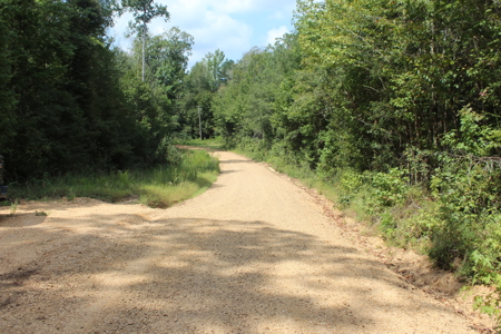 7.21 Wooded Acres with Creek For Sale Lincoln County Mississippi - image 6