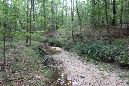 7.21 Wooded Acres with Creek For Sale Lincoln County Mississippi - image 16