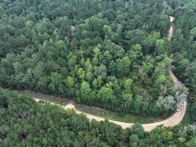 7.21 Wooded Acres with Creek For Sale Lincoln County Mississippi - image 5