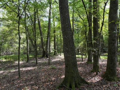 7.21 Wooded Acres with Creek For Sale Lincoln County Mississippi - image 1