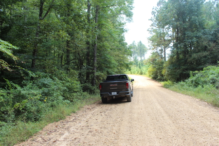 Wooded Land 7.21 Acres with Creek in Lincoln County Mississippi - image 8