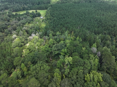 Wooded Land 7.21 Acres with Creek in Lincoln County Mississippi - image 2