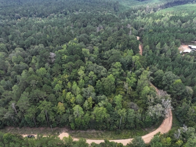 Wooded Land 7.21 Acres with Creek in Lincoln County Mississippi - image 7