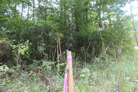 Wooded Land 7.21 Acres with Creek in Lincoln County Mississippi - image 18