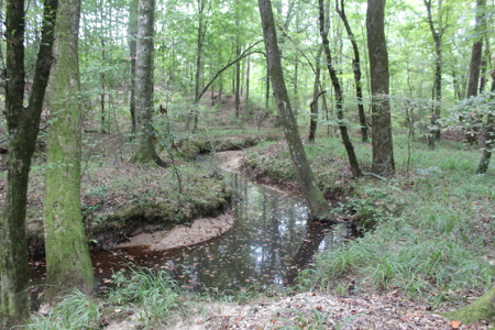 Wooded Land 7.21 Acres with Creek in Lincoln County Mississippi - image 12